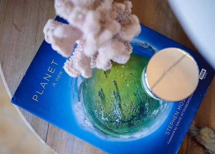 Stylish With A View And Daire *