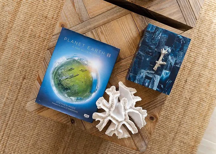 Stylish With A View And Daire Portimão