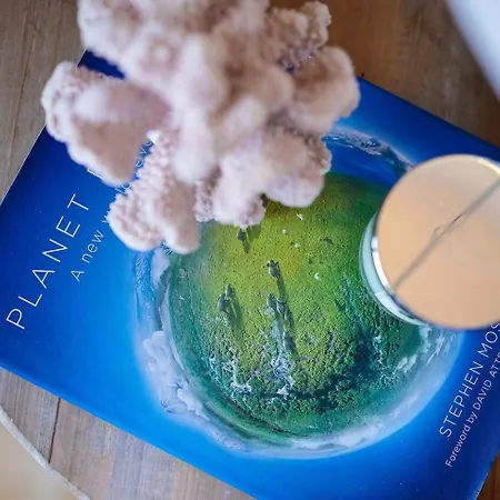 Stylish With A View And Apartamento *