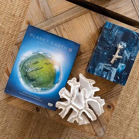 Stylish With A View And Apartamento Portimão